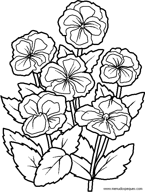lamina para colorear de la Primavera