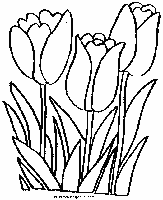 lamina para colorear de la Primavera