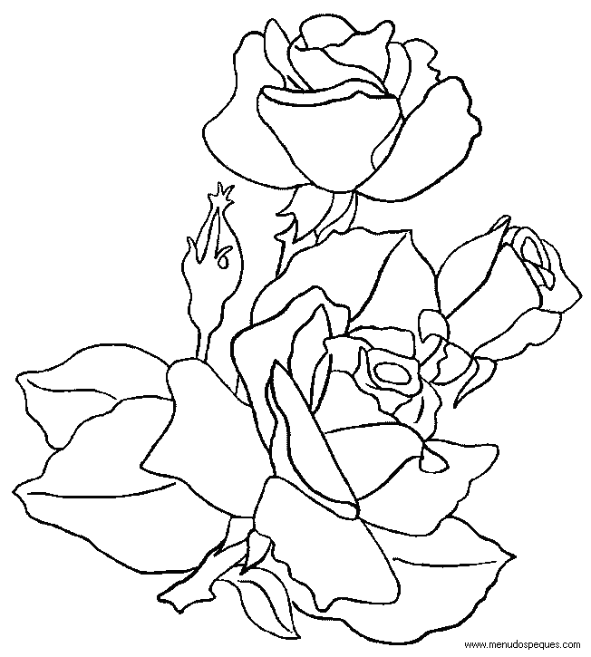 lamina para colorear de la Primavera