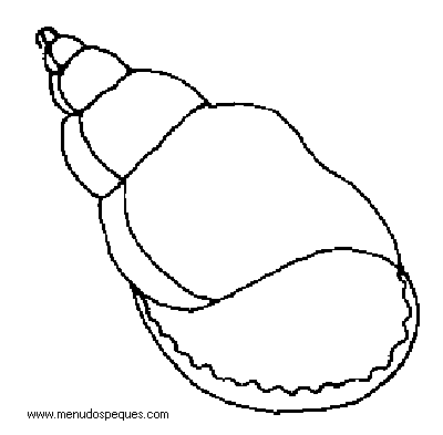 lamina para colorear del Verano. Conchas Marinas, Caracolas y Moluscos Marinos