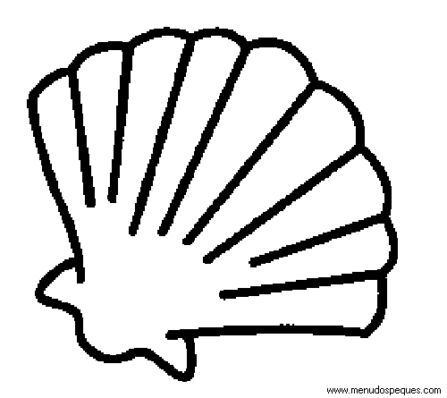 lamina para colorear del Verano. Conchas Marinas, Caracolas y Moluscos Marinos