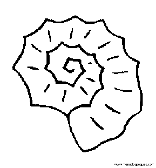 lamina para colorear del Verano. Conchas Marinas, Caracolas y Moluscos Marinos