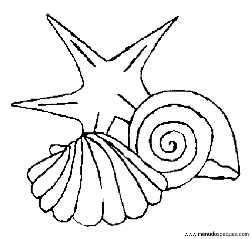 lamina para colorear del Verano. Conchas Marinas, Caracolas y Moluscos Marinos