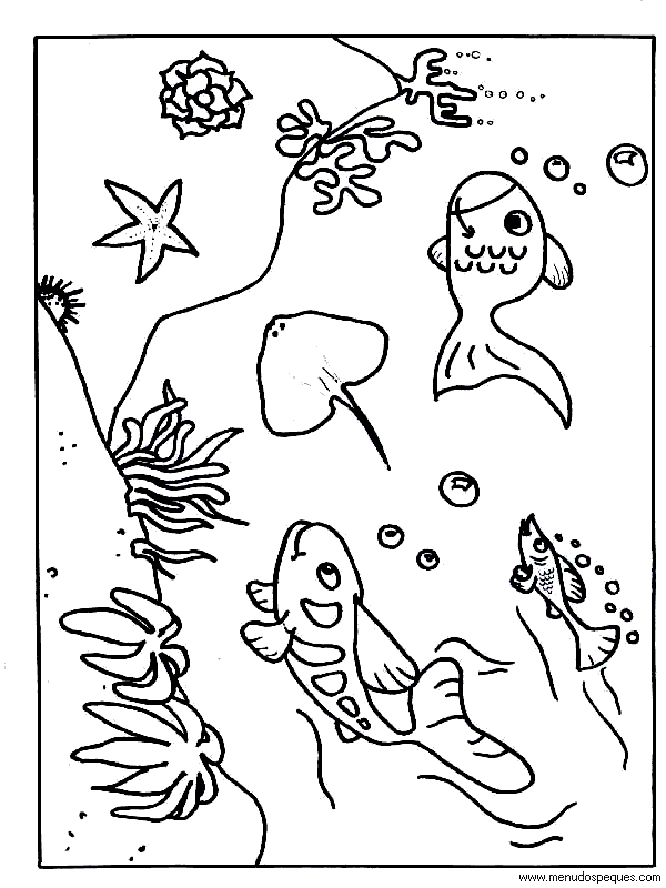 lamina para colorear del Verano. Vida marina, submarina, fondos del mar, peces para colorear