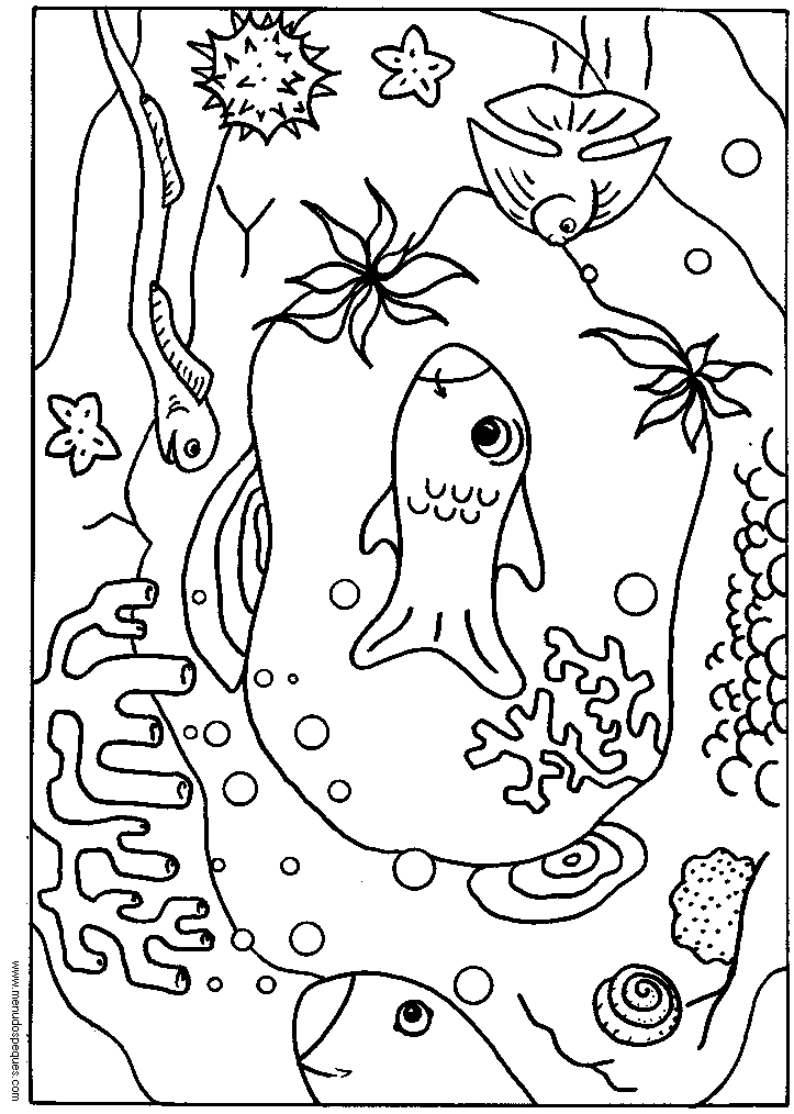lamina para colorear del Verano. Vida marina, submarina, fondos del mar, peces para colorear