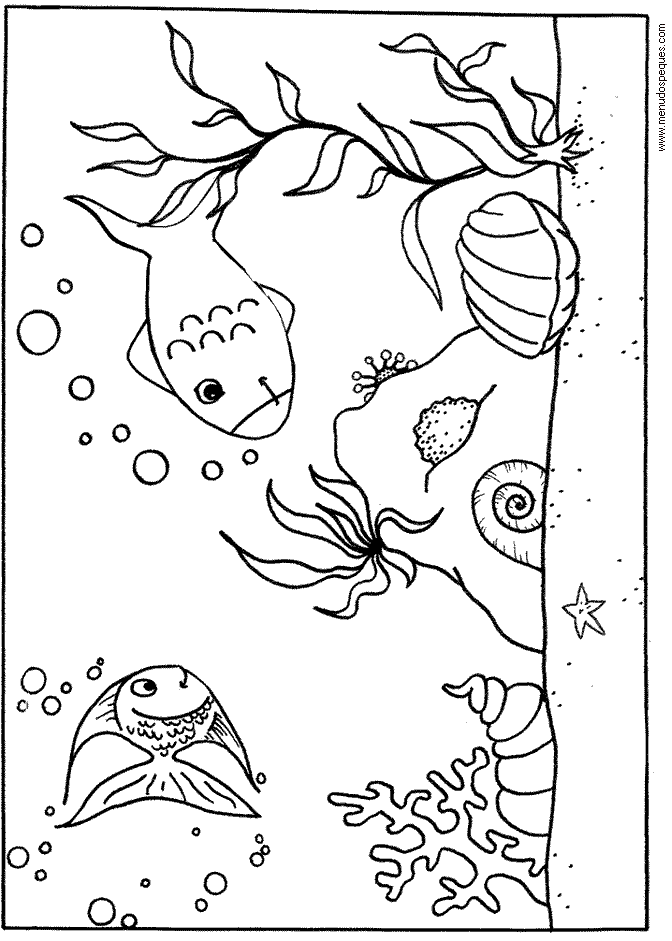 lamina para colorear del Verano. Vida marina, submarina, fondos del mar, peces para colorear