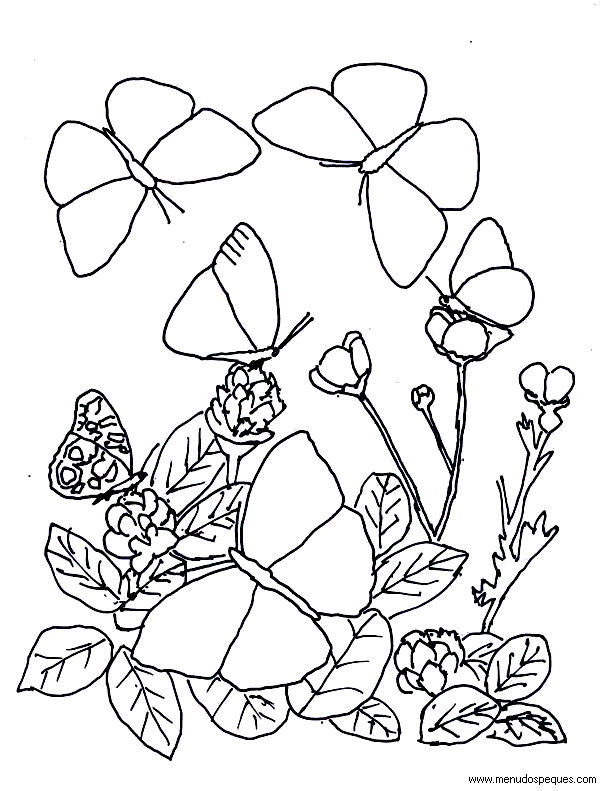 L&aacute;mina para Imprimir y Colorear Dibujos de El Medio Ambiente. Paisajes y animales gratis