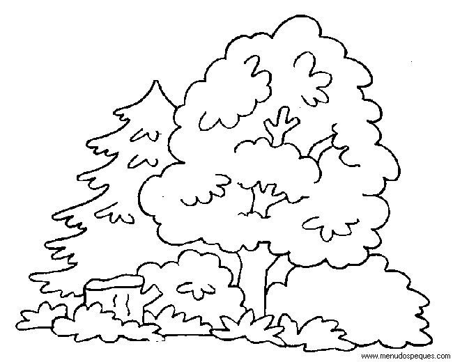 L&aacute;mina para Imprimir y Colorear Dibujos de El Medio Ambiente. Paisajes y animales gratis