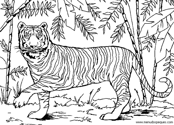 L&aacute;mina para Imprimir y Colorear Dibujos de El Medio Ambiente. Paisajes y animales gratis