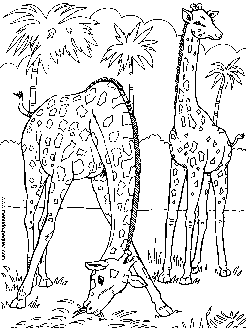 L&aacute;mina para Imprimir y Colorear Dibujos de El Medio Ambiente. Paisajes y animales gratis