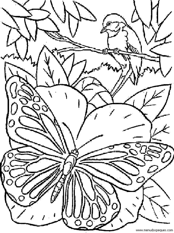 L&aacute;mina para Imprimir y Colorear Dibujos de El Medio Ambiente. Paisajes y animales gratis