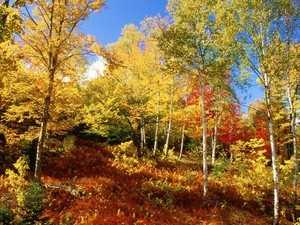 cancion del otoño, Otoño