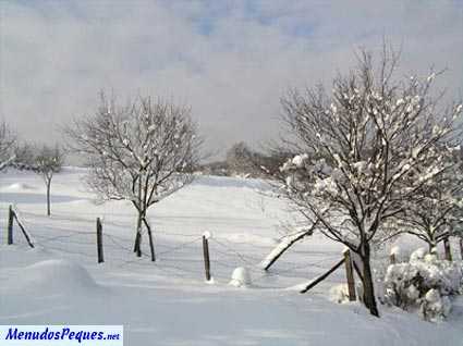 paisaje nevado con arboles frios