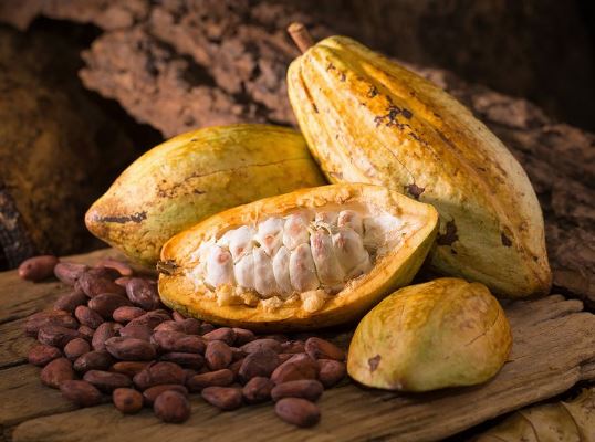 cacao beneficios