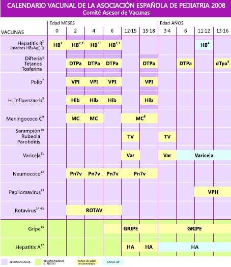 La Calendario Vacunal 2008