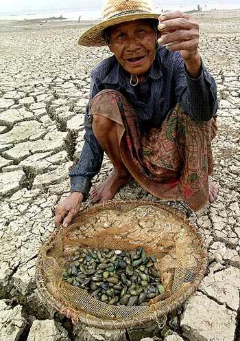 El cambio climático. Zonas áridas, secas