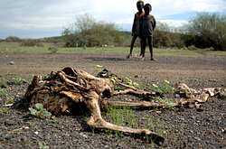 El cambio climático. Hambruna
