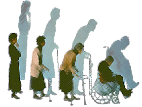 Osteoporosis: los huesos pierden densidad, se fracturan más fácilmente y tardan hasta un 80% más de tiempo en soldarse
