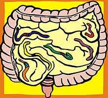 lombrices, parasitos intestinales