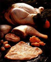 ave, carne de ave, carne picada, salmonela, salmonella, salmonelosis