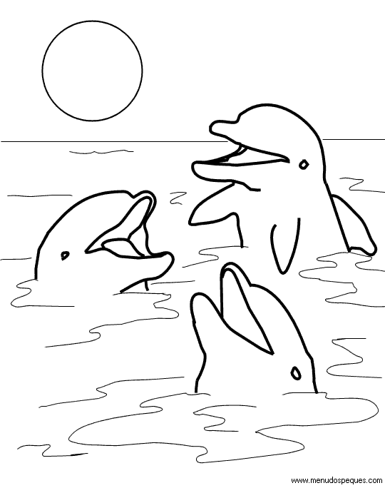 colorear delfines en su medio