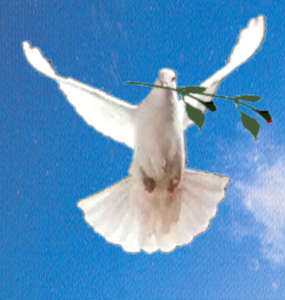 paloma de la paz, día de la paz