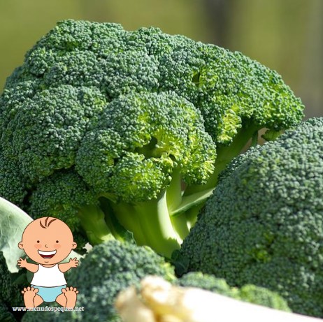 ¿Cuándo puede comer Brócoli el bebé?