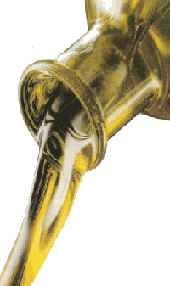 imagen gratuita aceite de oliva