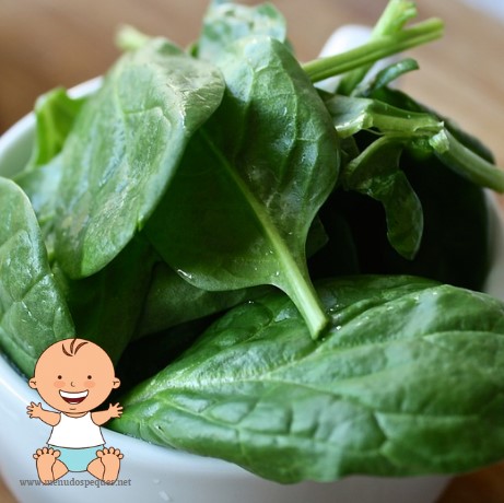 ¿Cuándo pueden comer espinacas los bebés?