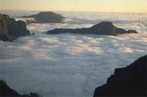 Nada mejor para celebrar el 30 de Mayo, día de Canarias que hacer un viaje fotográfico por Canarias
