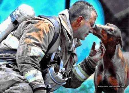 doberman agradecido