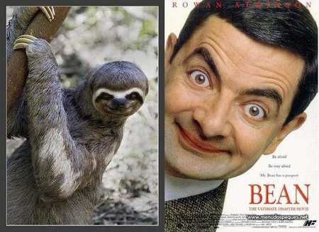 mrbean-parecidos-razonables