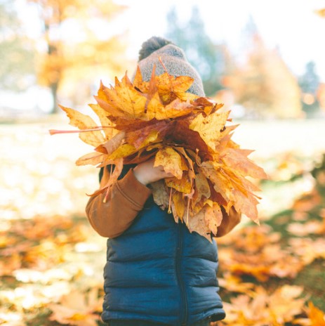 actividades otoño