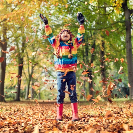 Propuesta de Actividades para otoño y las estaciones del año