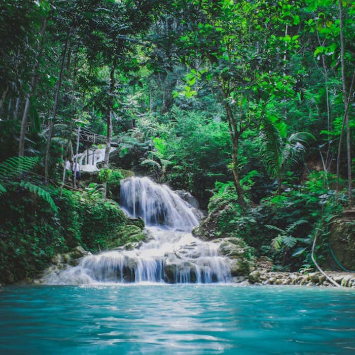 Bosque con Cascadas Entre árboles, naturaleza, poesías, poemas, día de los bosques