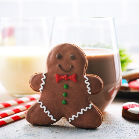 Receta para hacer Galletas de jengibre de chocolate