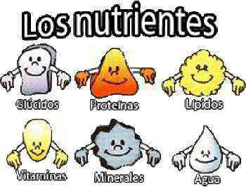 nutrientes