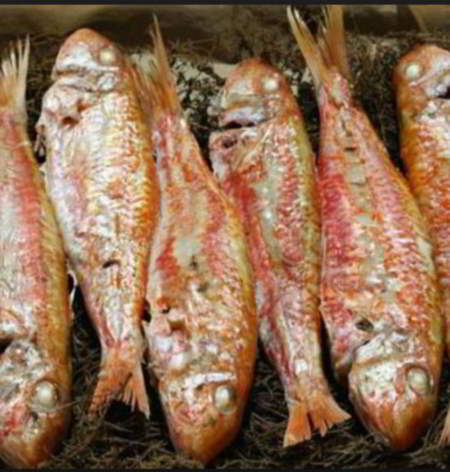 salmonetes horno