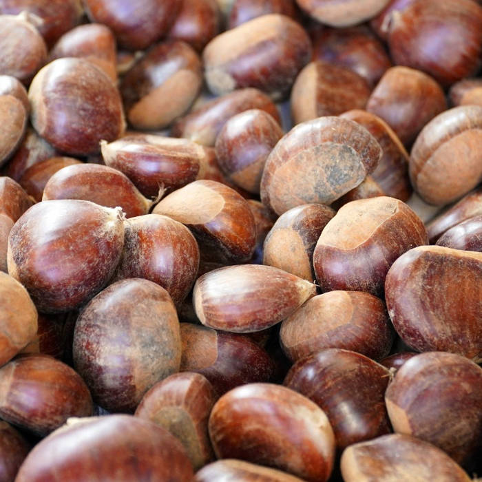 Castañas