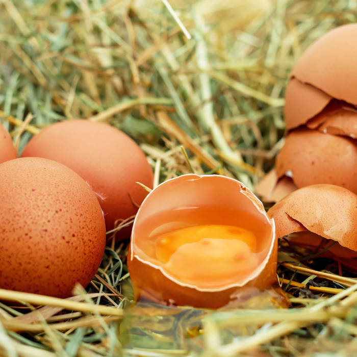 Selección y Conservación de Huevos Frescos: Todo lo que Necesitas Saber