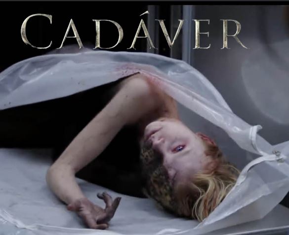 cadaver