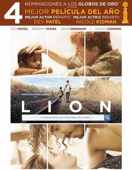 lion