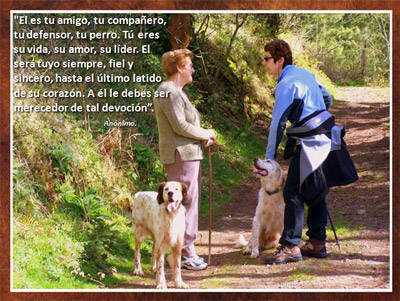 ¡Amigos!... Los Perros