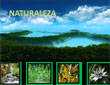 851-naturaleza