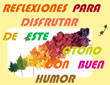 896-reflexiones