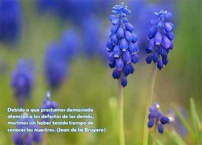 PowerPoint: Saborea tu vida
