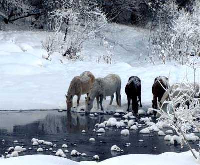 Power Point: Sonata de invierno