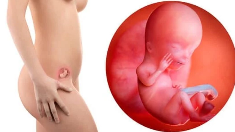 ¿Puedo sentir al bebé a las 12 semanas? ¿Se nota la barriga a las 12 semanas?