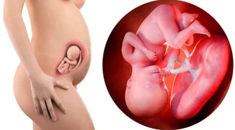 ¿Está el bebé completamente desarrollado a las 27 semanas? ¿El embarazo de 27 semanas es el tercer trimestre?