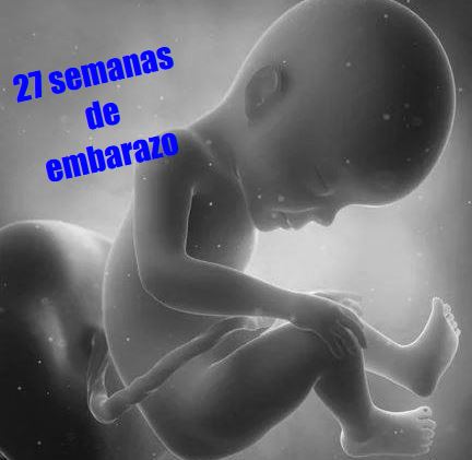 27 semanas gestacion